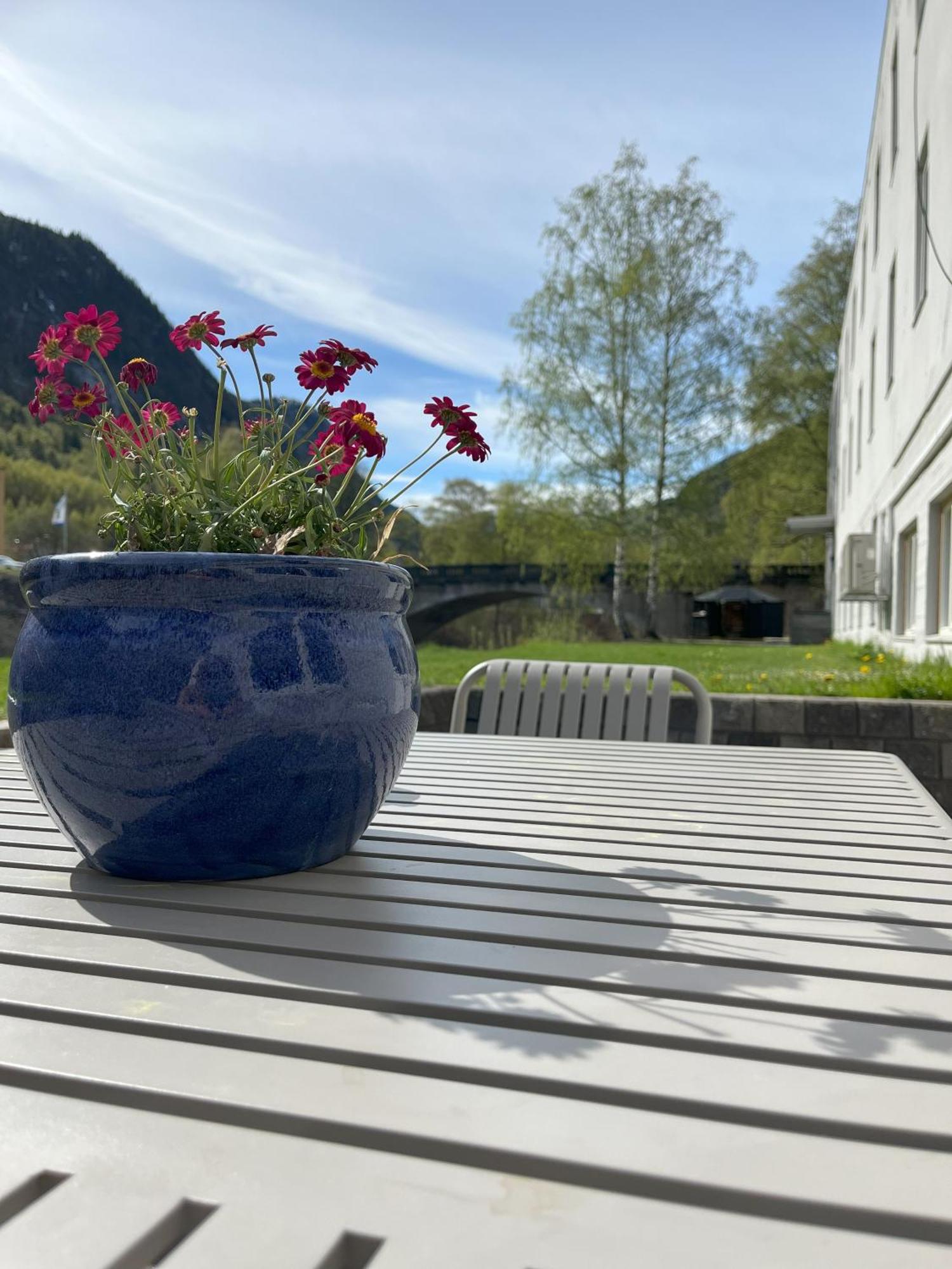 Birkelunden Bed & Breakfast Rjukan Extérieur photo